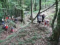 Kräuterwanderung