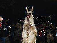 Perchtenlauf 2007