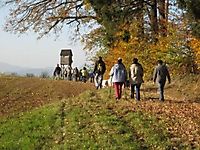 Grenzwanderung 2. Abschnitt 2008