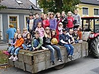 Kürbisschnitzen 2008