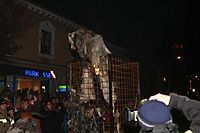 Perchtenlauf 2012